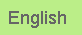 English Version
